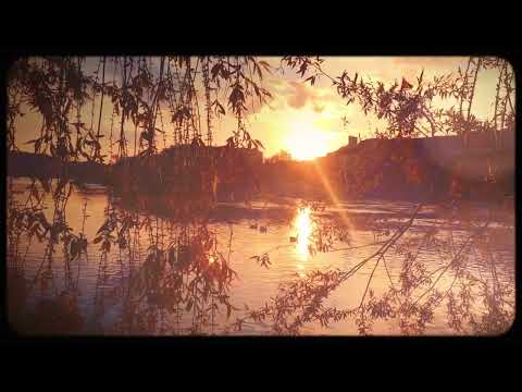 Don Brownrigg & Terra Spencer - Say - Official Lyric Video