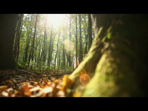 Reviczkyvel az Erdőben – II. évad – 5/12. epizód – Ormánsági titkok