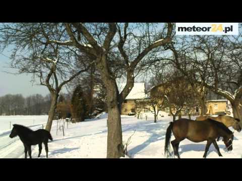 Gospodarstwo Agroturystyczne Pod Lipami - Długopole Dolne meteor24.pl