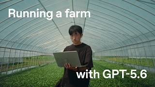 Meet the broccoli farmer running his farm with GPT-5.6.