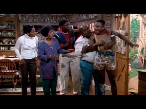 Family Matters - Steve Struck By Lightning