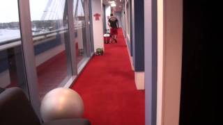 The moment Wippa wet his pants on the radio