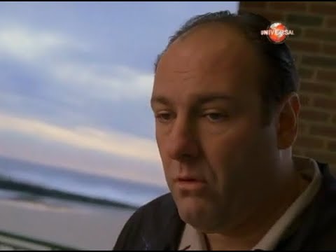 Jak leci? - Rozmowa z rybą | Rodzina Soprano