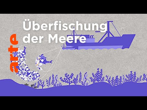 Vorschaubild Video