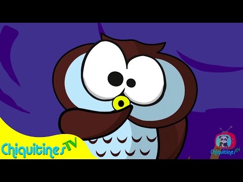 La lechuza hace shhh ♫ Canciones Infantiles ♫ Español