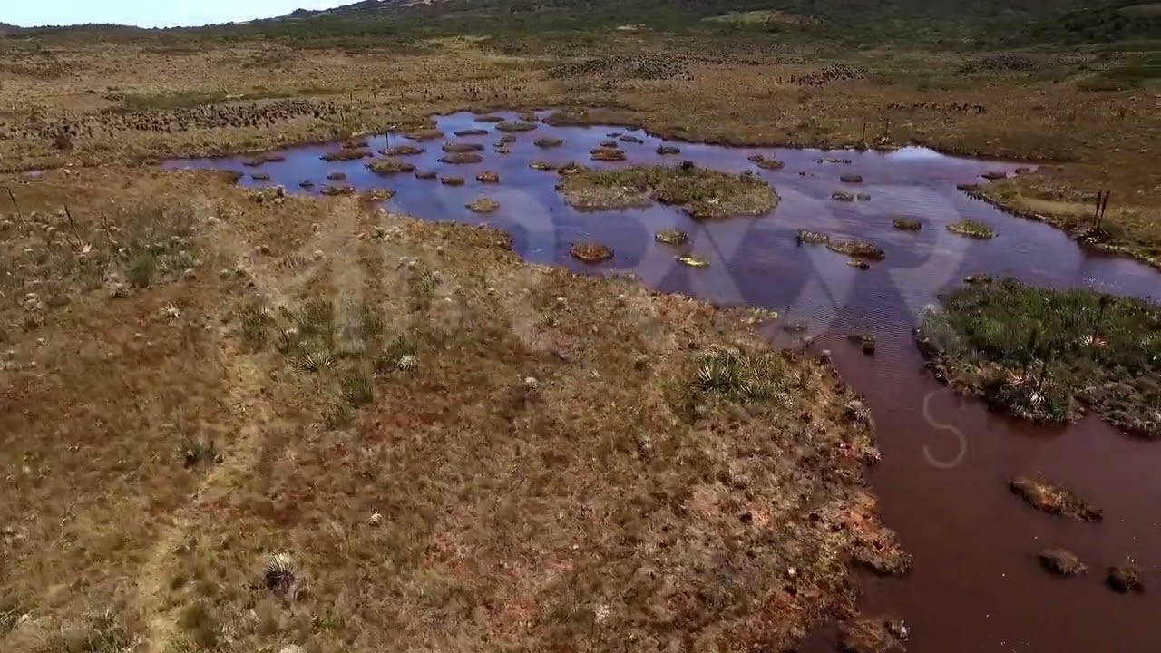 Nacimiento río Bogotá P1