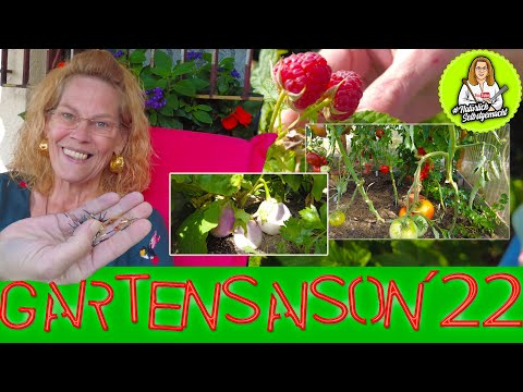 Gartenrundgang Ende August - Was ist mit Gesa los?