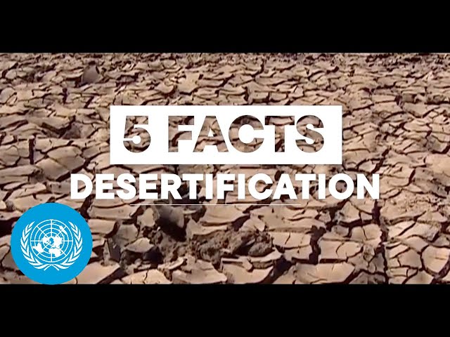 Growing threat from desertification: 5 facts
