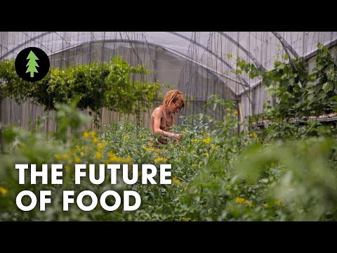 , title : 'Organic Regenerative Farming is the Future of Agriculture | The Future of Food'