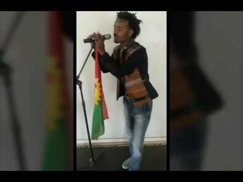 Daniel Bedada ( New Oromo Music 2016)*** Saban qaba kan ittin Boonuu***