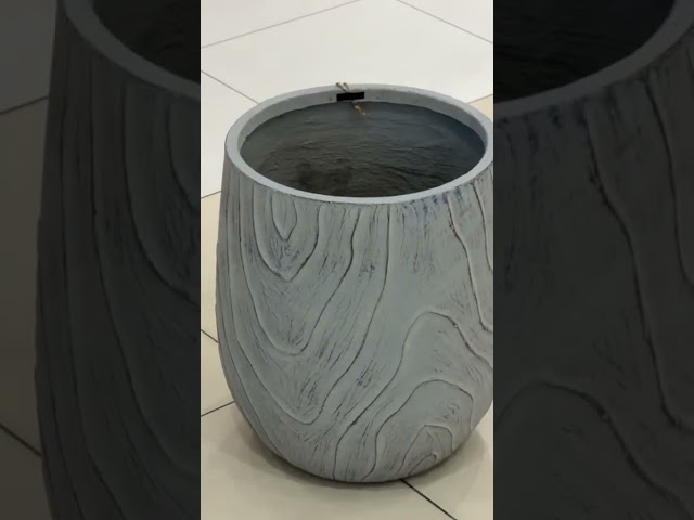 مركن شجر
