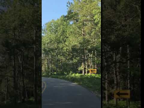 Road in the campground