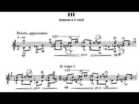 Dusan Bogdanovic - Polyrhythmic and Polymetric Studies for Guitar (1990) [Score-Video]