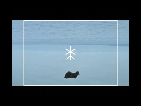 death of codes x Crystal Cage - A Crack In The World (A demo from Generation Doom)