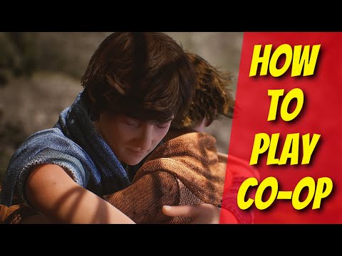 Come giocare in modalità cooperativa in Borthers a Tale of Two Sons Remake!