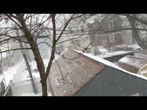 Snowfall || Slow Motion || Winter || Nature || 2017 (Watch On 720P)