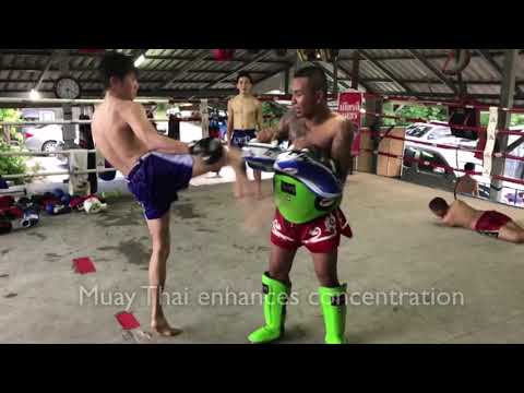 Muay Thai Basics for Beginners by Oliver & Harald Olsen & Valery Niazov