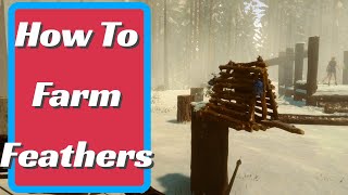 How To Farm Feathers in Sons Of The Forest