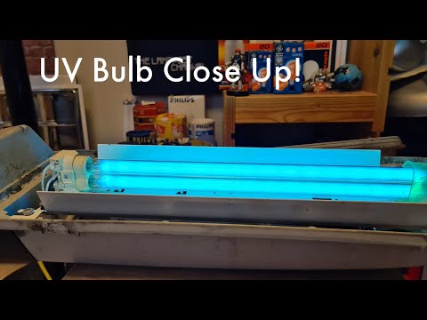 Philips UV PL-L 36W Bulb.