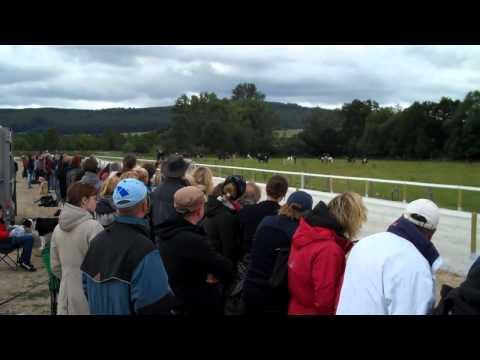 OSI Hirtenhof - Speedpass - www.isibless.de