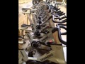 Video of Paramount Fitness Line Leg press -CS