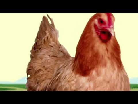 Enrique y Ana  - La Gallina Co Co Ua, Co Co Ua ( canción infantil )