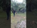 Mesin Rumput Gendong Sorong Nyaris Kalah Dengan Mesin Rumput Modifikasi Jaman Now Ringan Sempel