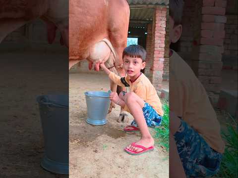 small girl hehe eg #song #love #funny