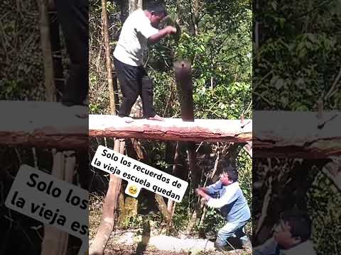 Estos eran los puros duros /aserrando madera con sierra de mano #parati #viral #sierras