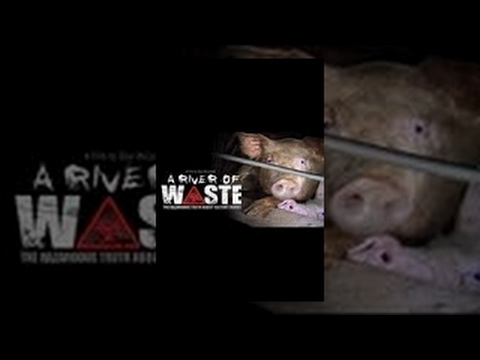 A River of Waste: The Hazardous Truth About Factory Farms