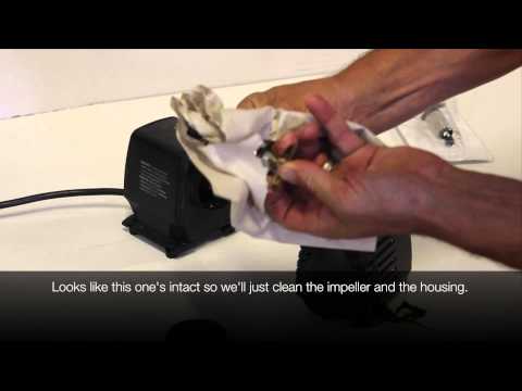 EasyPro Magnetic Drive Pump Maintenance