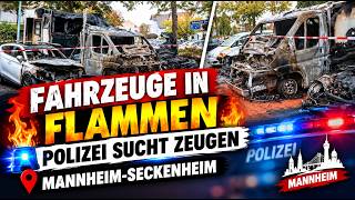 Pferdetransporter in Mannheim in  Vollbrand – Feuer greift auf weitere Autos übe