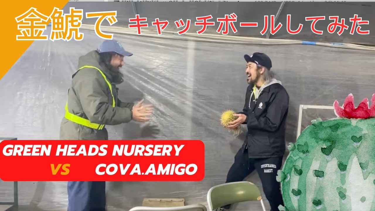 『痛』金鯱キャッチボールやってみた