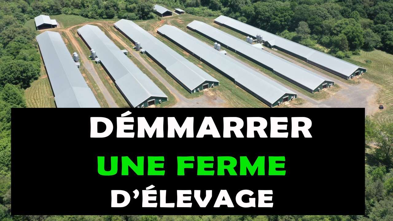 COMMENT COMMENCER UNE FERME D'ÉLEVAGE : Toutes les étapes