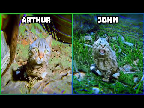 Drunk Arthur VS Drunk John Interacting with Cats🥰 - RDR2