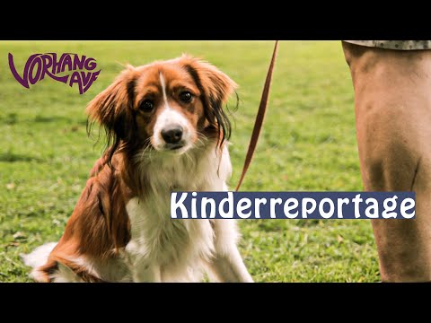 Kinderreporter unterwegs: Die Hundeschule Kalkriese | Vorhang auf