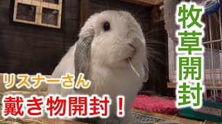 うさぎの牧草の開封動画とリスナーさんからの戴き物開封！