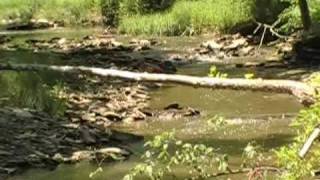 MUSIC VIDEO: Thinking, Drinking, Sinking, Feeling