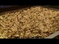Vegetable And Fruits Dryer Machine