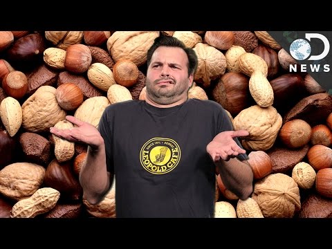 WTF Is A Nut?!