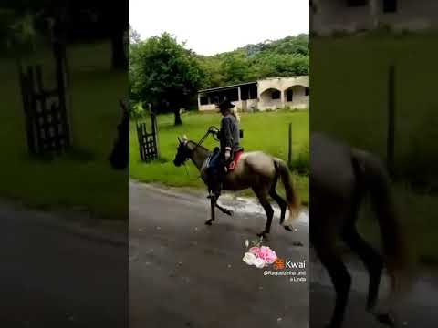 Entregando o leite!!