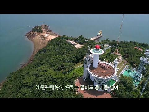 [2023 시민 참여 영상 공모전]  장려상🏆 | 인천이 참 좋아 | 백승화