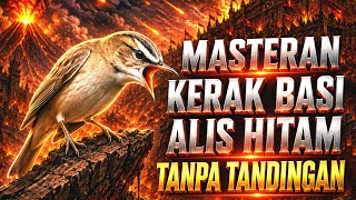 Download lagu MASTERAN KERAK BASI ALIS HITAM TANPA TANDINGAN | Isian Mewah dan Jernih mp3 Download lagu MASTERAN KERAK BASI ALIS HITAM TANPA TANDINGAN | Isian Mewah dan Jernih mp3