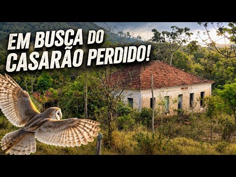 🏚️ O ANTIGO CASARÃO DA FAZENDA UNIVERSO - MOZAMBINHO MG 🦉