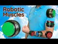 Best Robot Actuators Ever I Reviewed Tons Of Actuators And Decided To Make My Own