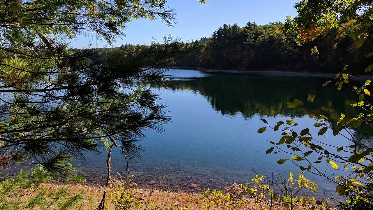 Fall Walk around Walden Pond