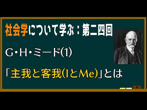 メゴフリス・ナスタ