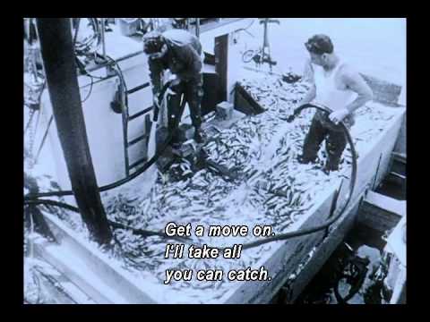 Woody Woodpecker & Friends LCPYV