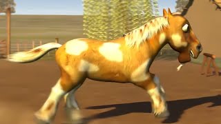 El Reino Meu cavalo Meu Bretão Percherón e mais Rimas Para Crianças