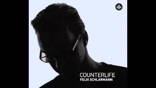 Felix Schlarmann - Counterlife